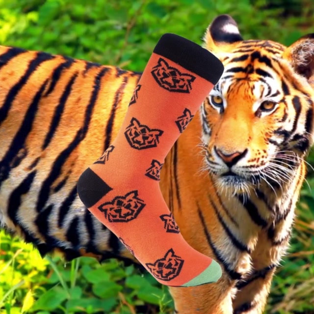 Orange & Black Tim The Tiger Organic Cotton Socks - Drake & Hutch UK